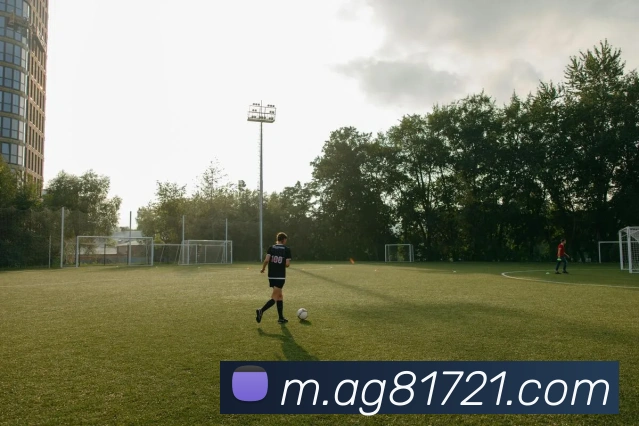 尊龙凯时人生就是博平台生态图